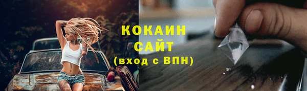Альфа ПВП Верея
