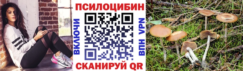 shop состав  Яровое  Галлюциногенные грибы прущие грибы 